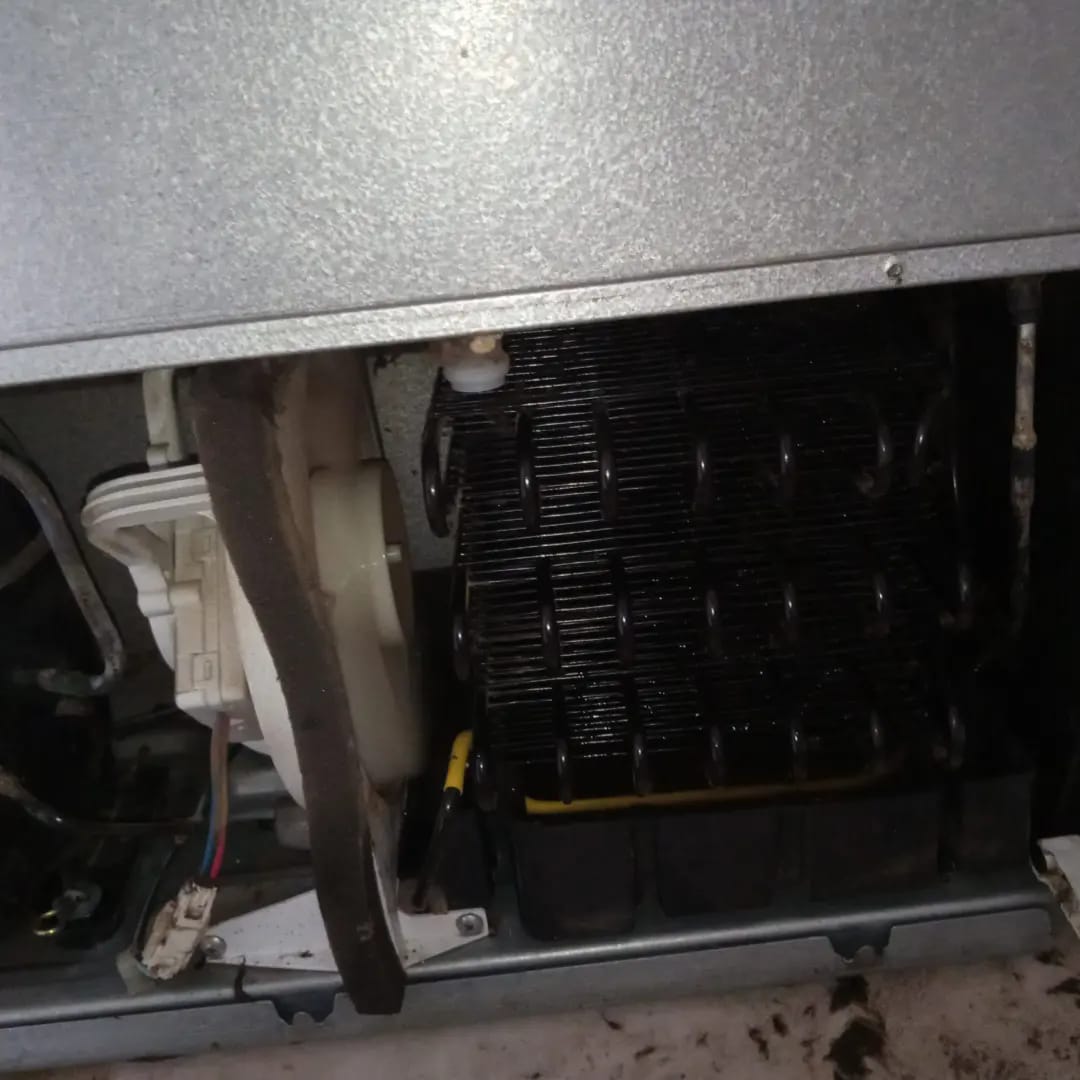 435222692_1054720489424866_5654643340882246044_n